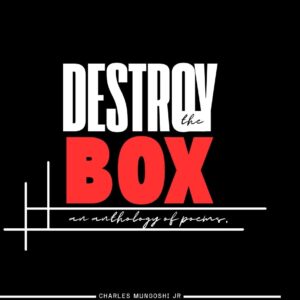 Destroy The Box
