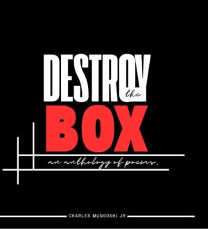 Destroy The Box
